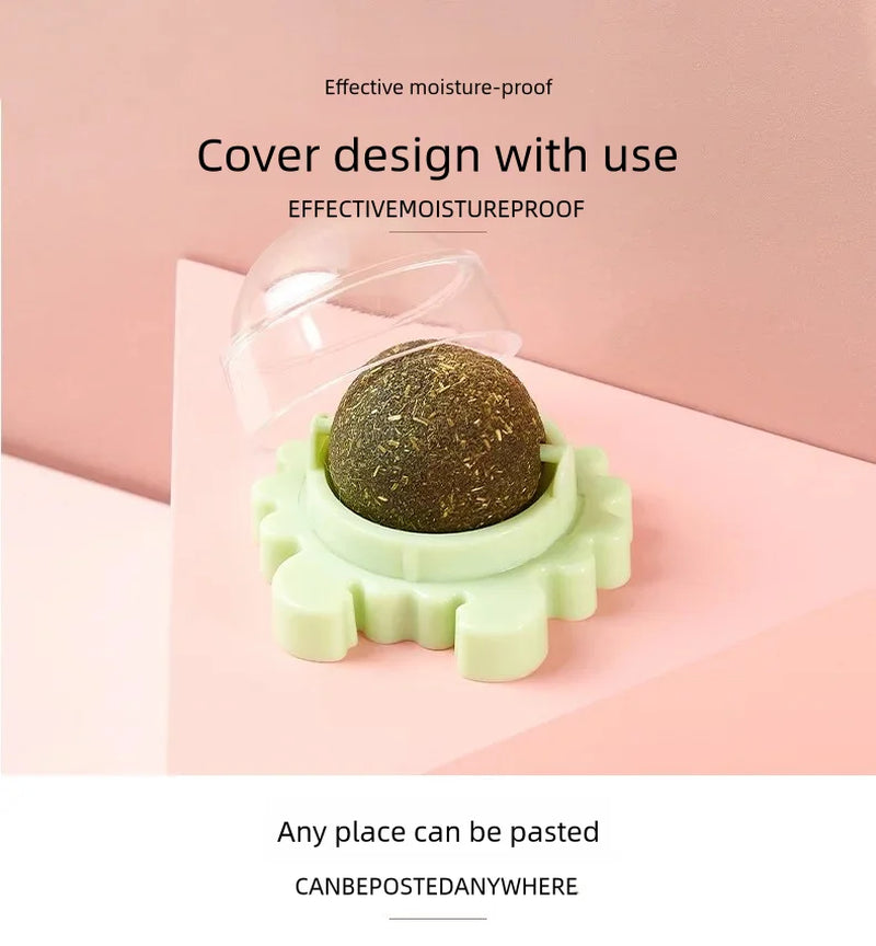 1PC Natural Cats Candy Snack Ball Rotatable Toy Catnip Pure Cat Molar Toothpaste Edible Bolus Teeth Cleaning Bite-Resistant Toys