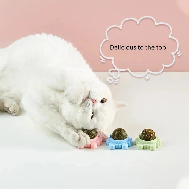 1PC Natural Cats Candy Snack Ball Rotatable Toy Catnip Pure Cat Molar Toothpaste Edible Bolus Teeth Cleaning Bite-Resistant Toys